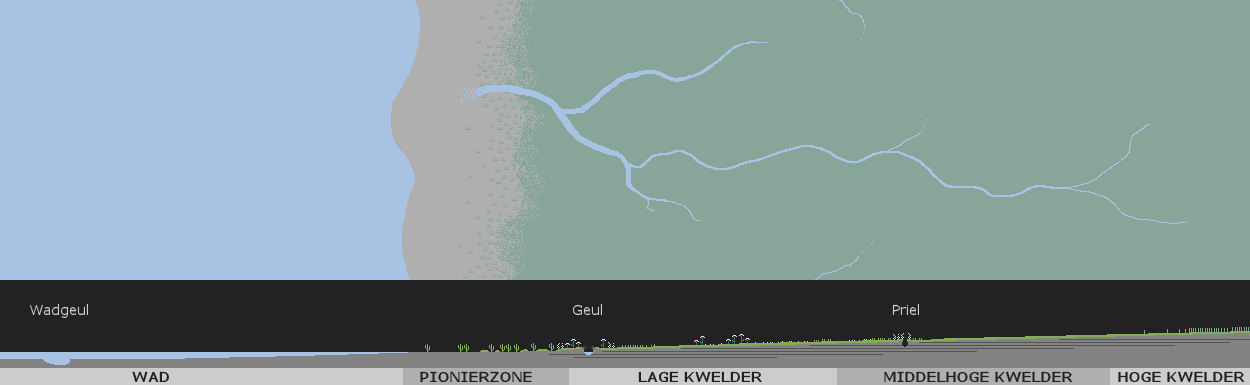 Zonering in een natuurlijke vastelandskwelder